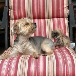 Meet your Posher, Sophie